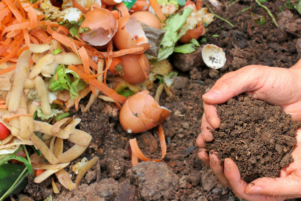 Compostagem Anaeróbica e Aeróbica