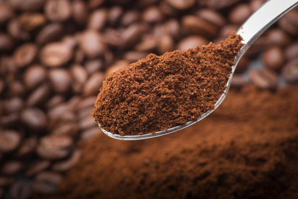adubação com borra de café